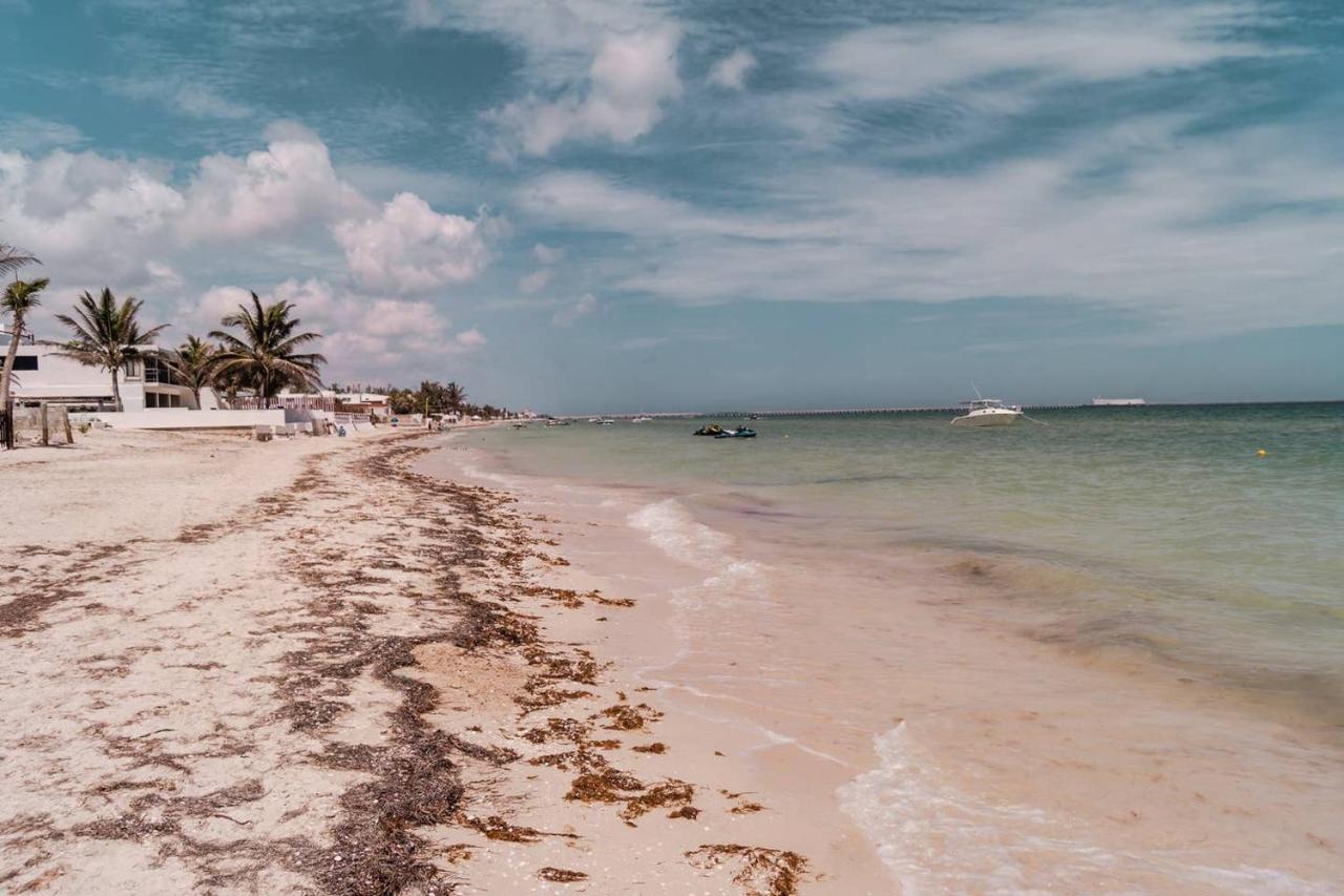 Luxury Condo, The Hidden Gem Playa Chaca. Live It! Progreso  Eksteriør billede