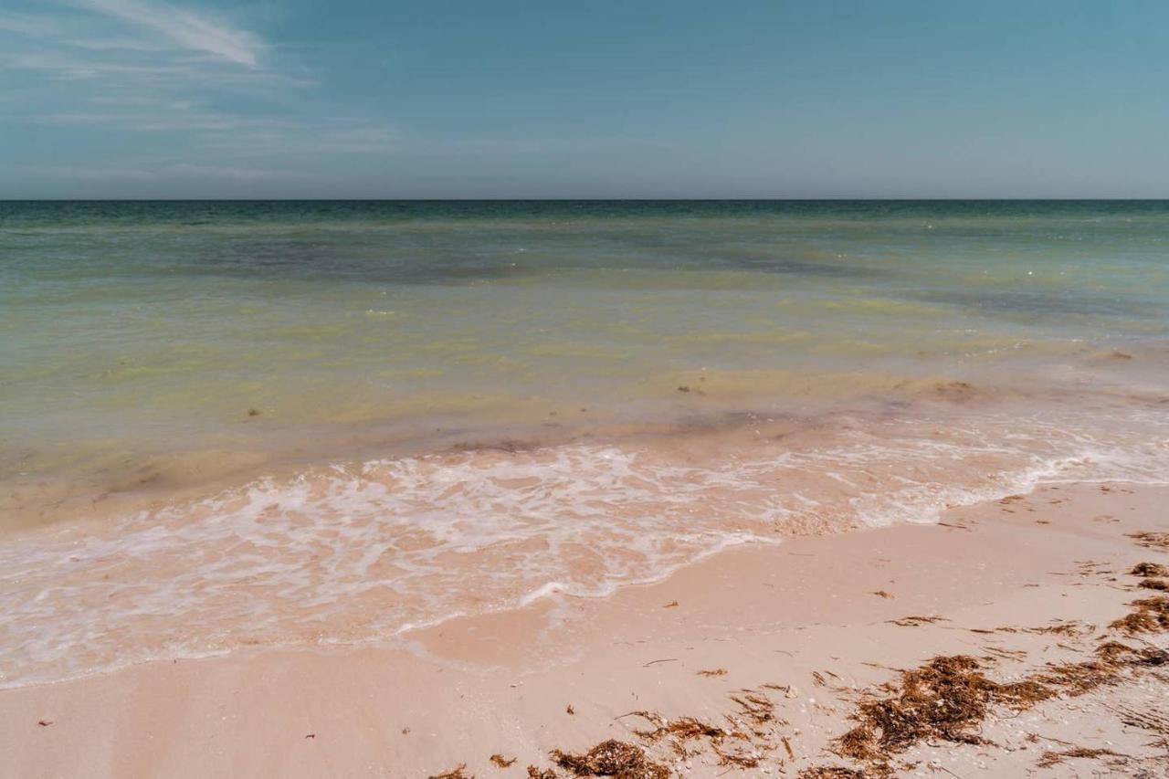 Luxury Condo, The Hidden Gem Playa Chaca. Live It! Progreso  Eksteriør billede
